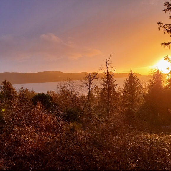 Meet your Posher, Ca - Picture 10 of 16